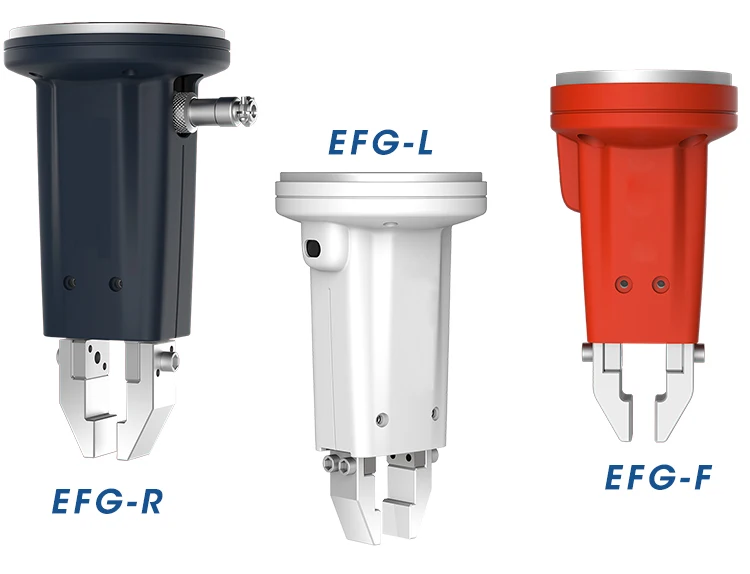 EFGLFR_04.jpg