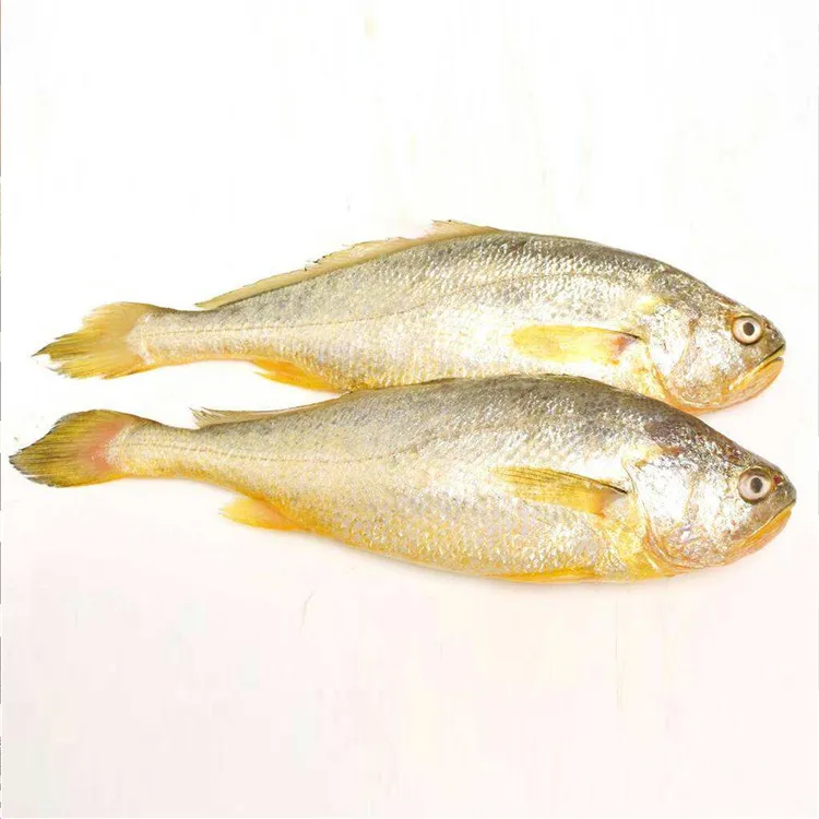 frozen yellow croaker (4).jpg