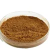 GMP factory Chlorogenic Acid 50% Green Coffee Bean Extract