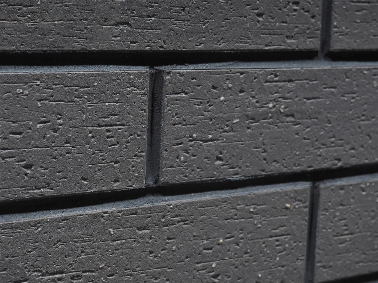 AS46B 02.jpg