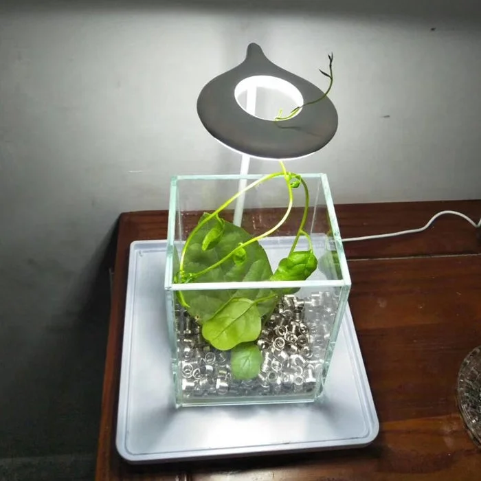 mini LED-1.jpg