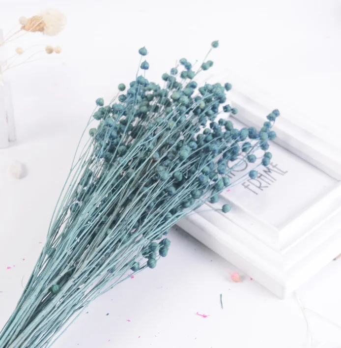 Natural Real Fresh Eternal Dried Flowers Jequirity Bean Jumblebeads