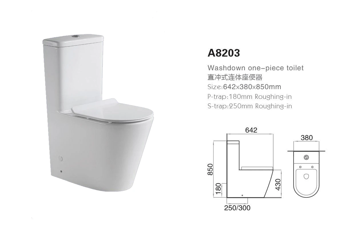 ceramics washdown sanitary ware one piece toilet with P/S- trap