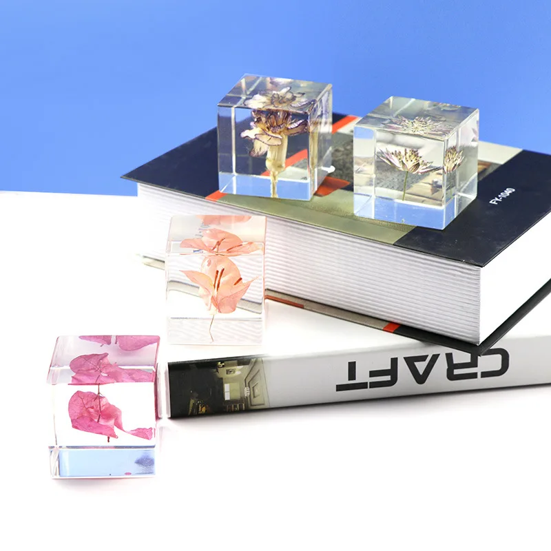Custom Clear Lucite Cube Acrylic Embedding Flower Seeds Leaves Resin