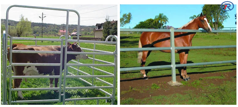 Galvanized Animal Fencing Horse/sheep/cattle Livestock Farm Fence Panel ...