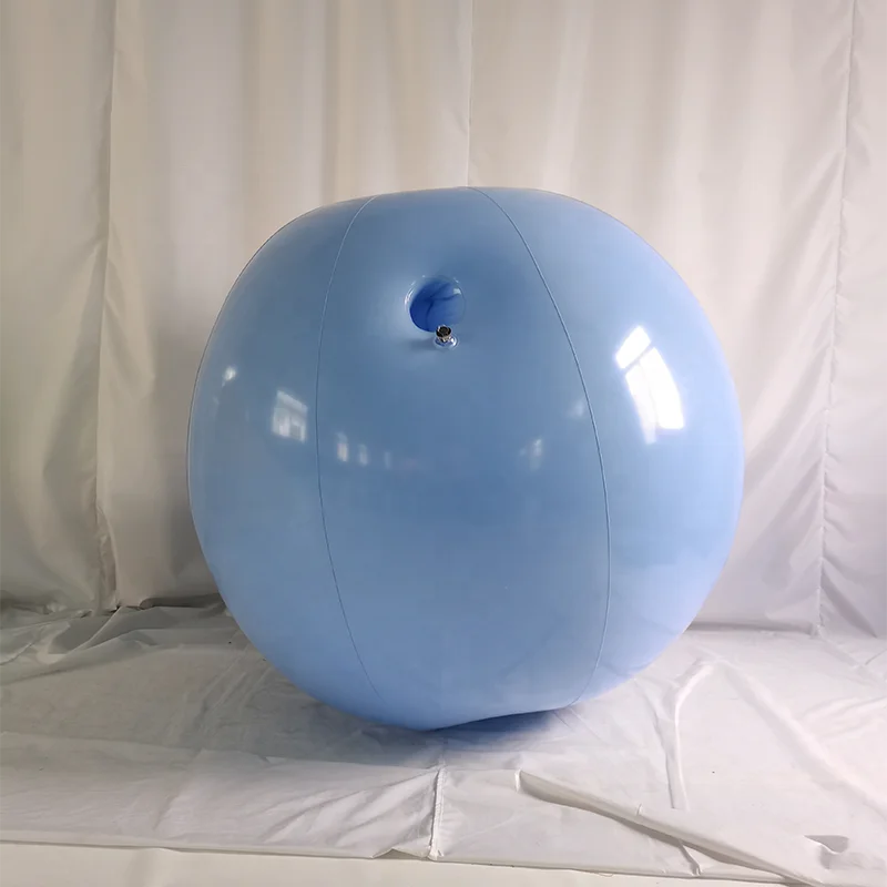 Customized Size Funny Inflatable Pvc Ball Suit Game Role Playing Inflatable Blueberry Suit Buy
