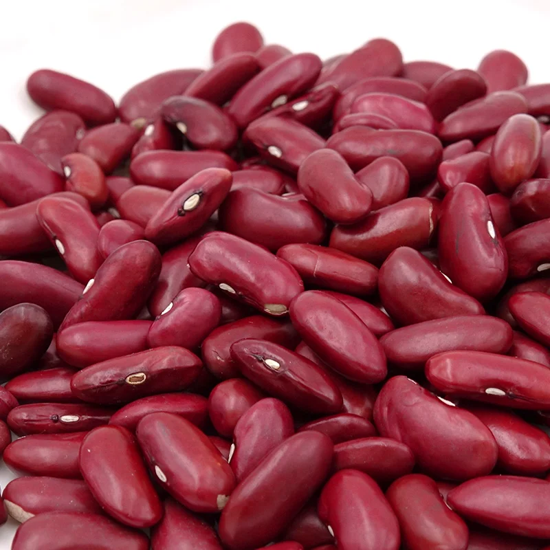 Wholesale Dried Dark Red Kidney Bean Long Shape Kidney Beans - Buy ...