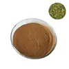 Ilex Paraguariensis / Paraguay Tea Plant Extract/Yerba Mate Extract Powder
