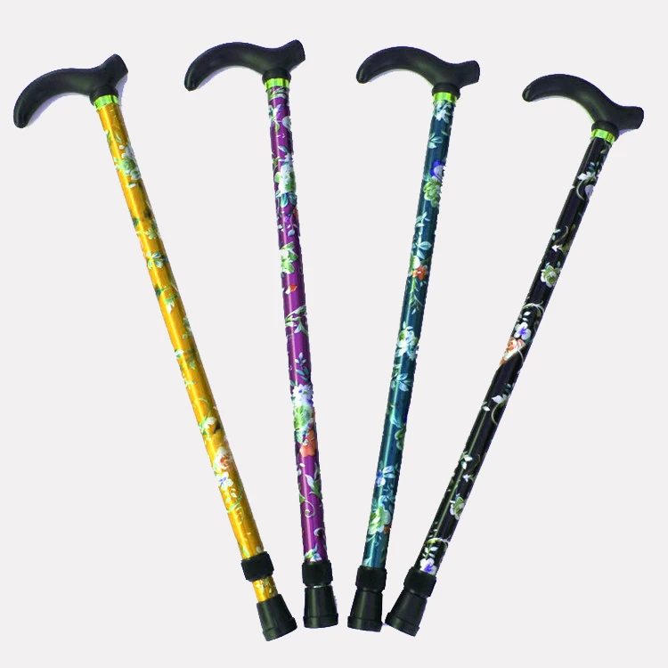 walking stick (3).jpg