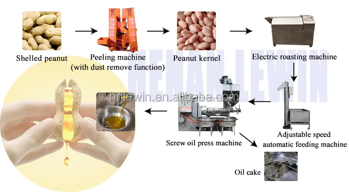 machine de développement de mini de presse d'extraction de l'huile de beurre de mangue de sésame huile froide d'avocat