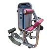 Gym Use Commercial Fitness Equipment / Back Extension M