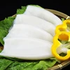 Frozen squid tube/giant squid/illex squid U7