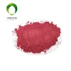 100% nature high quality 10:1 prune extract powder
