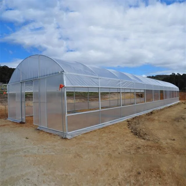 single span greenhouse 52.jpg