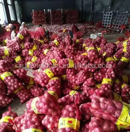 red onion 1.jpg