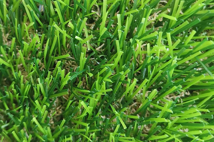 _201907290848101.jpg