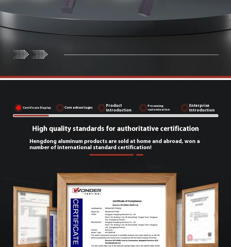 Fully Enclosed 65/80/102/135/170/220 European Standard Magnetic Strip Embedded Module Nylon Wear-Resistant Cemented Carbide details