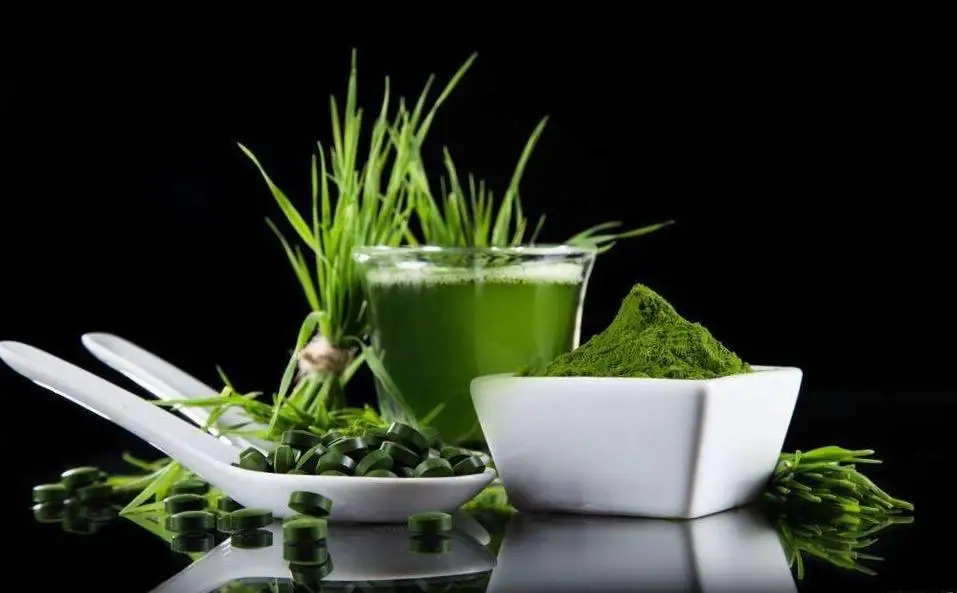 100% natural organic premium spirulina algae extract spirulina