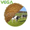 /product-detail/vega-lysine-amino-acid-l-lysine-hcl-sulfate-l-lysine-veterinary-distributor-china-supplier-1446958159.html