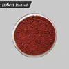 Competitive Price Dyestuffs Cochineal Carmine