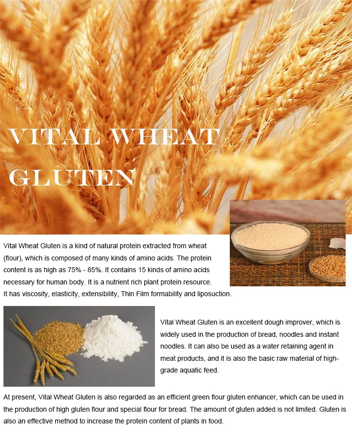 Food Grade Stabilizers Thickeners Vital Wheat Gluten 80 Buy Food Grade Vital Wheat Gluten