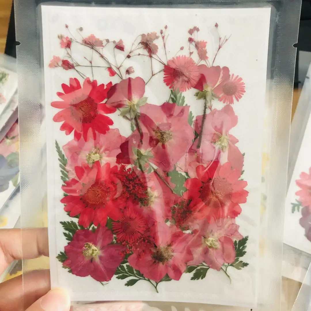 Yayun A1103 Diy Dried Pressed Mini Flowers For Mobile Buy Dry Flower