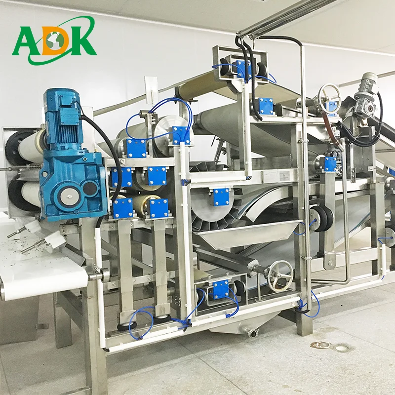 Beet Juice Extractor/carrot Juice Extracting Machine Buy Beet Juice