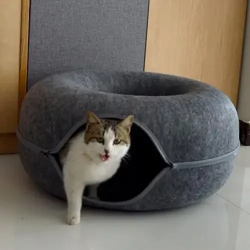 H35ea0cf407bc4c8880e466f66277b3a1w