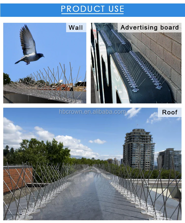 bird spikes