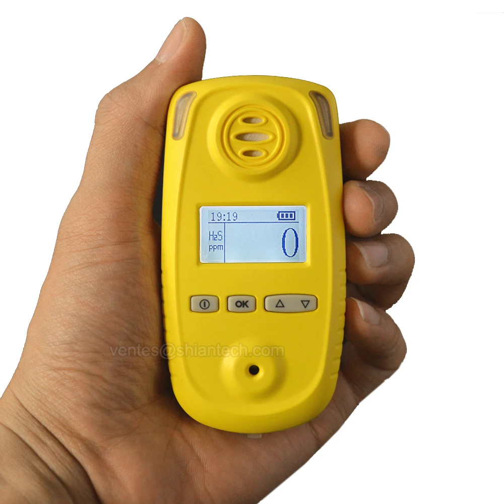 Portable H2s Analyzer Hydrogen Sulfide Detector For Biogas,02000ppm