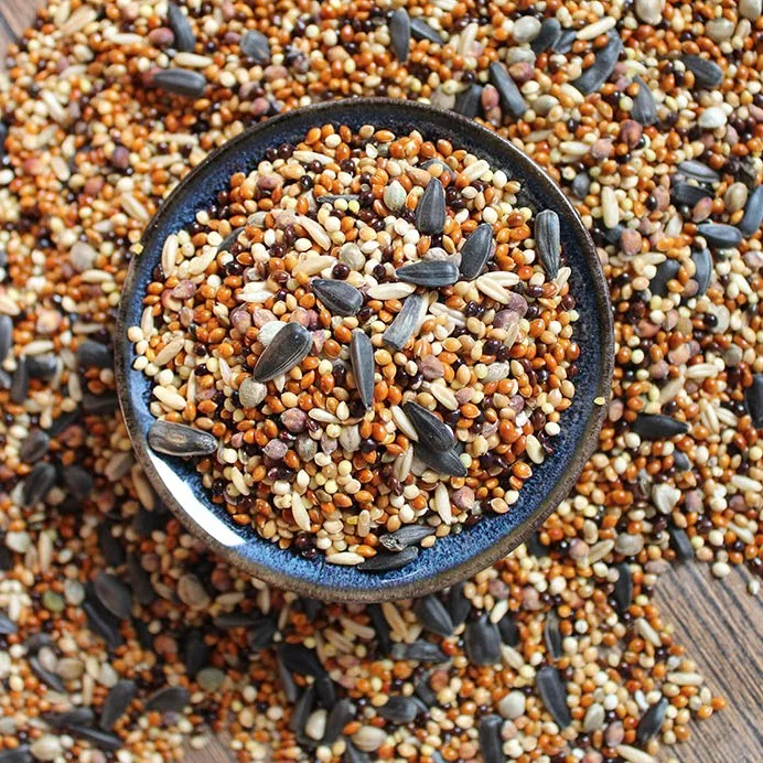 Best Selling Pet Bird Food Free Sample Buy Wild Bird Food,Bird Seed