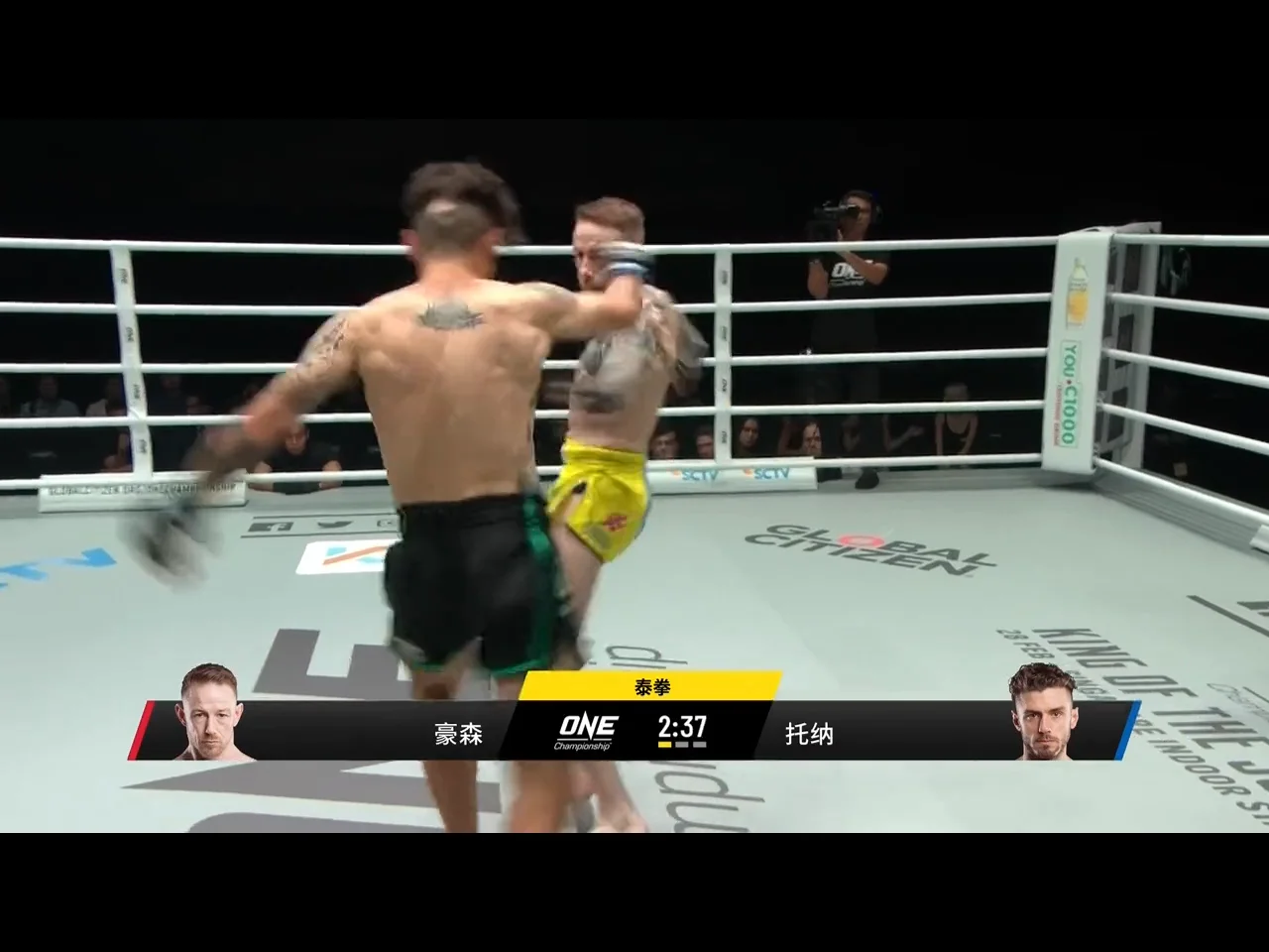 Fightbro Custom Design Your Own Elevated Training Ring Used Boxing Ring