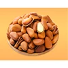 100% Raw processed type wholesale Pine Nuts