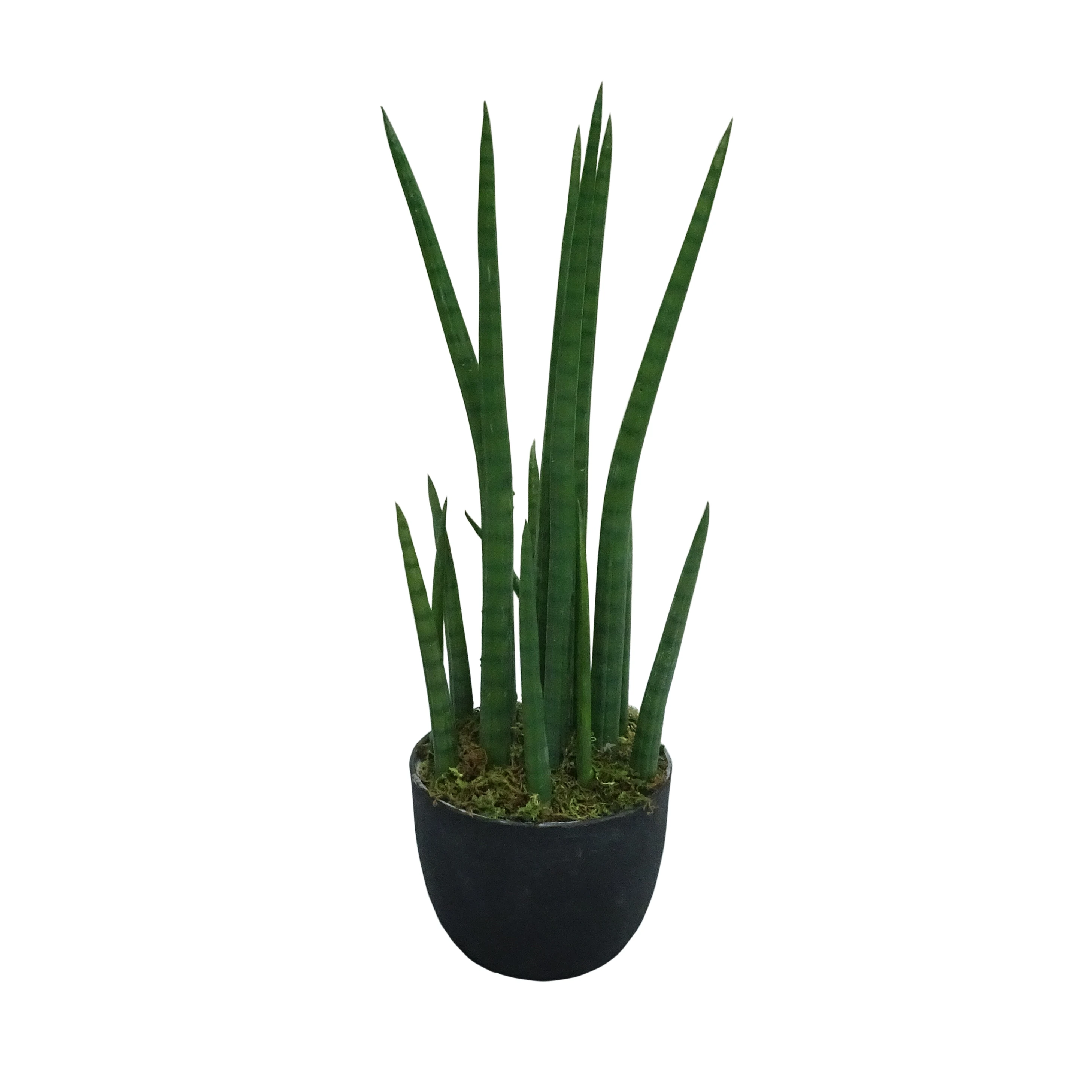 Artificial Snake Plants Artificial Yellow Trimmed Plastic Plants For