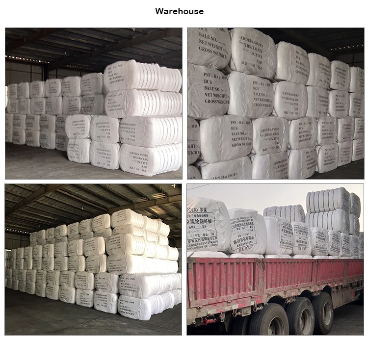 polyester fiber