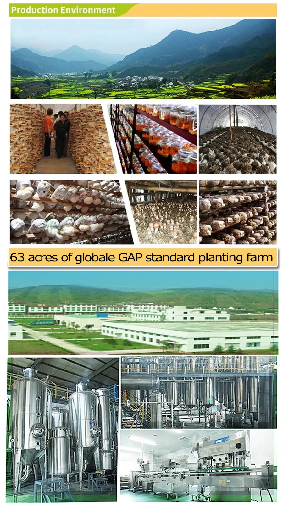 ganoderma--planting-base.jpg