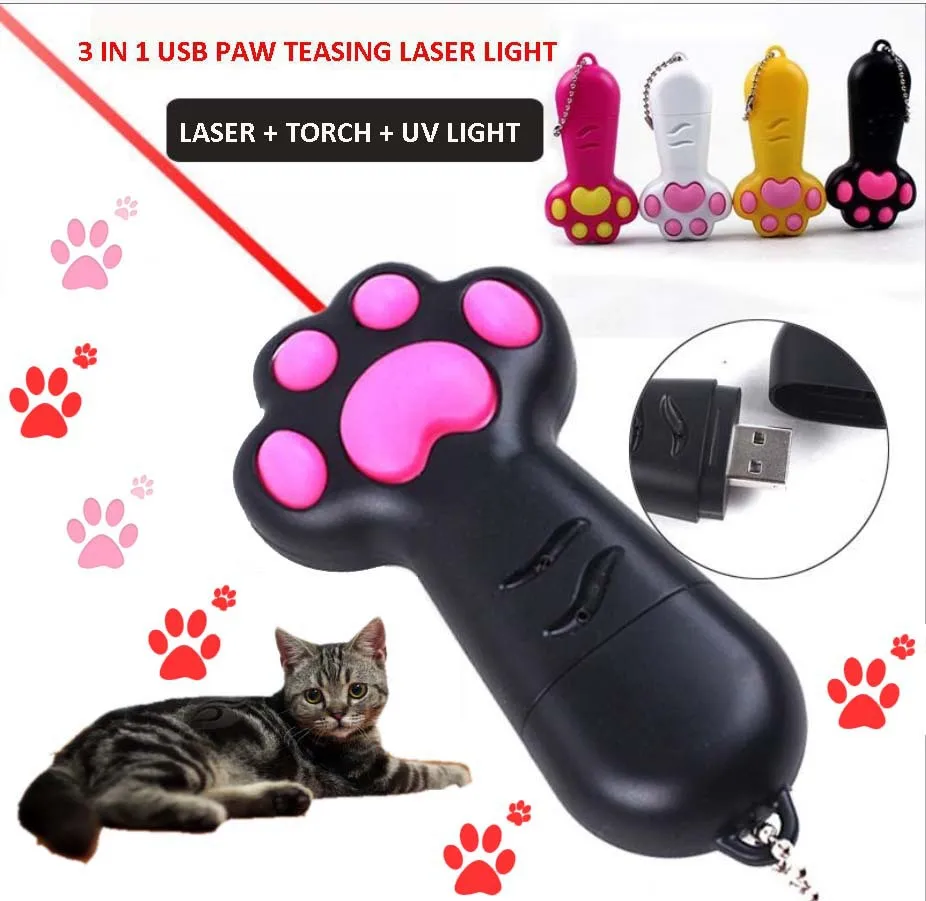 interactive pet toys