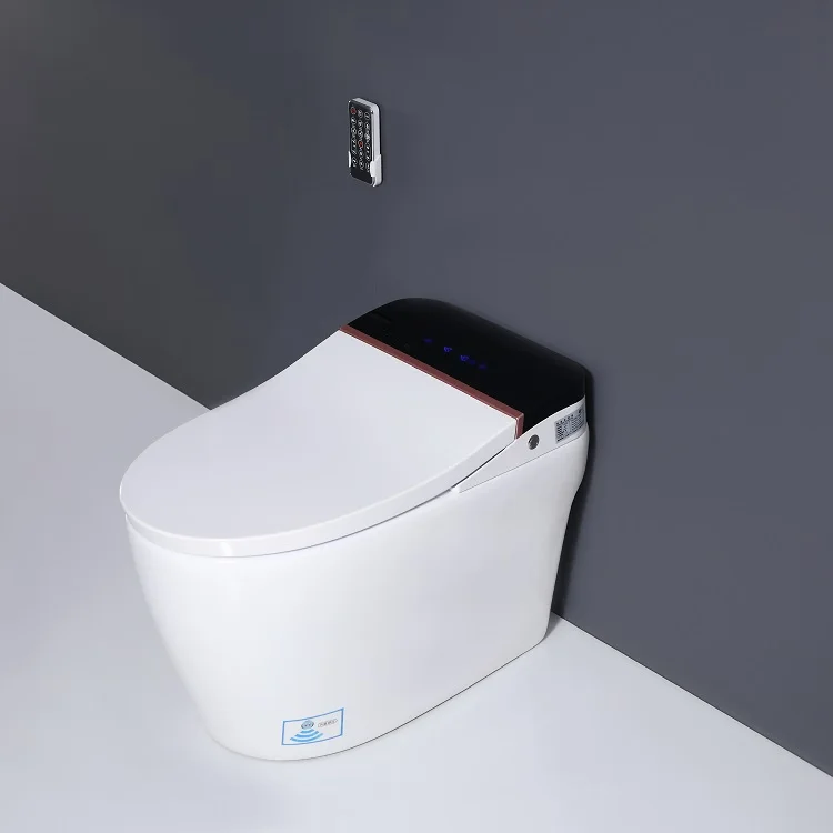 One Piece Siphon Flushing Toilet Ceramic Two Wc Bowl Water Jet Seat With Heater Bathroom Hanging