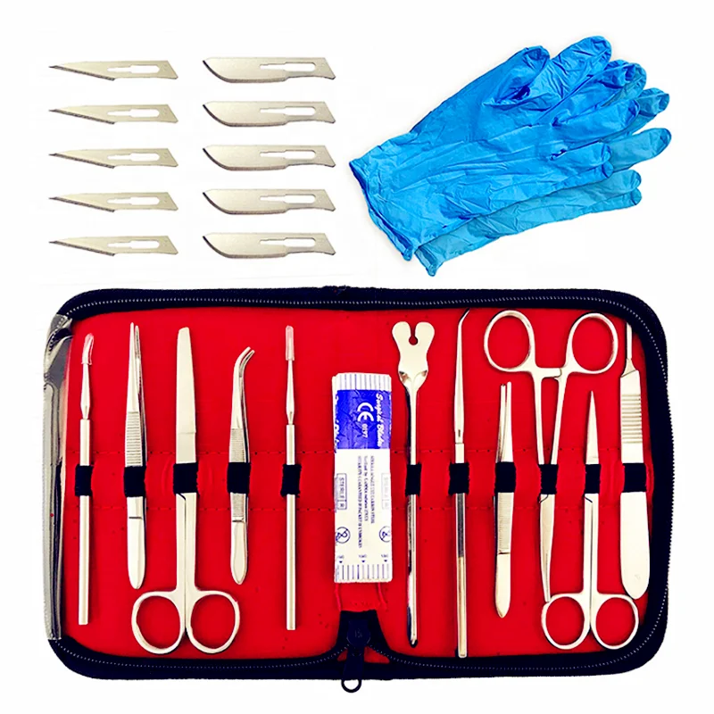 22 Pcs Biological Anatomical Tools Stainless Steel Anatomical Scissors