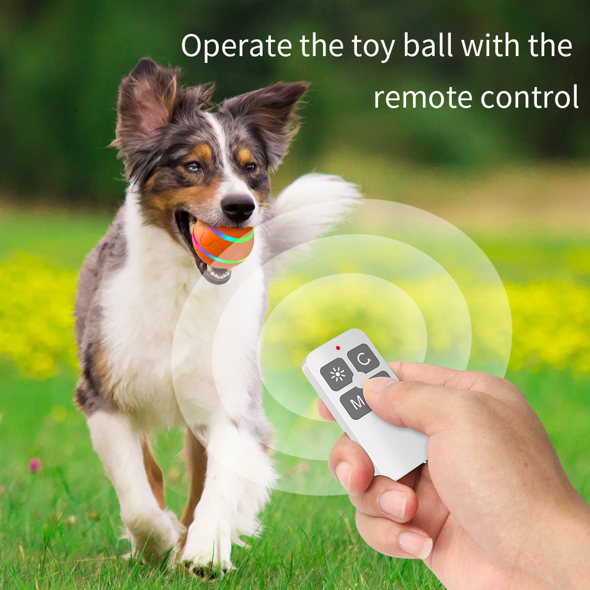 Remote Control Dog Waterproof Ball Rolling Usb Rechargeable With Led