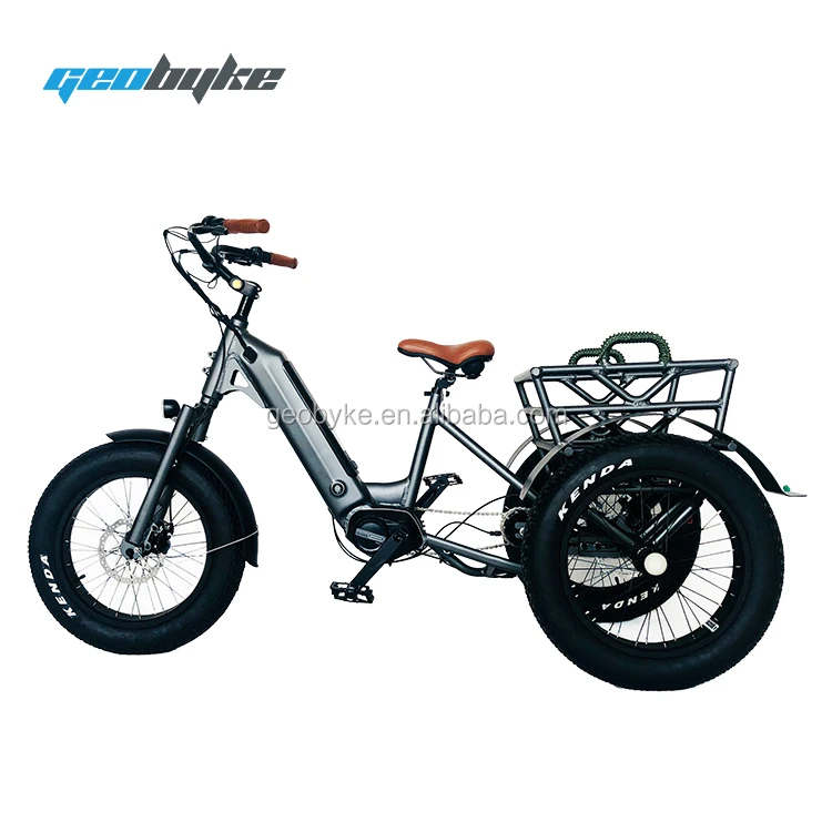 20 inch 3 wheel bike