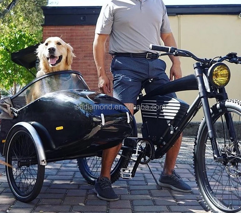 side cart for bike