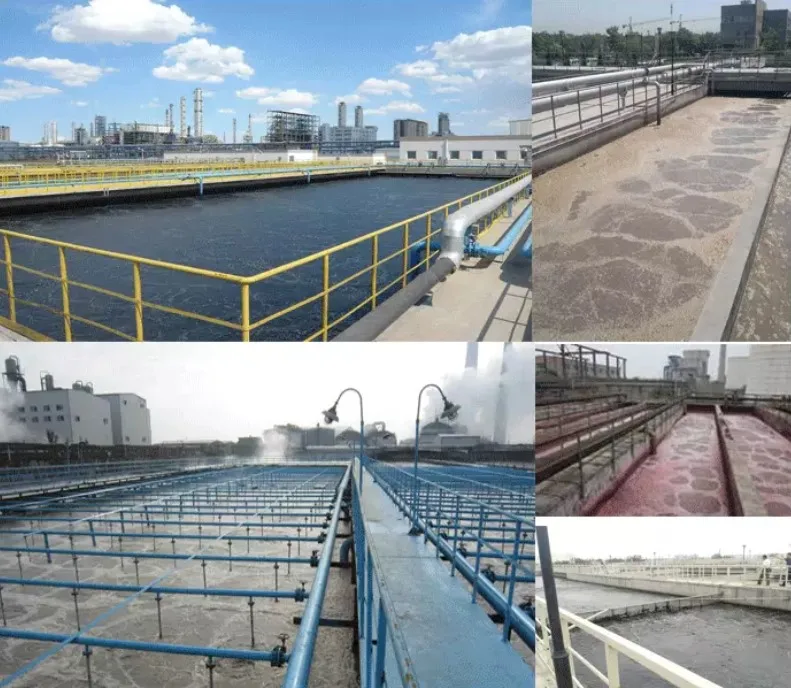 Moving Bed Filter Media Biofilm Reactor (mbbr) For Aquarium Fish Pond