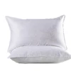 /product-detail/star-hotel-special-for-special-sand-feather-velvet-pillow-62399443936.html