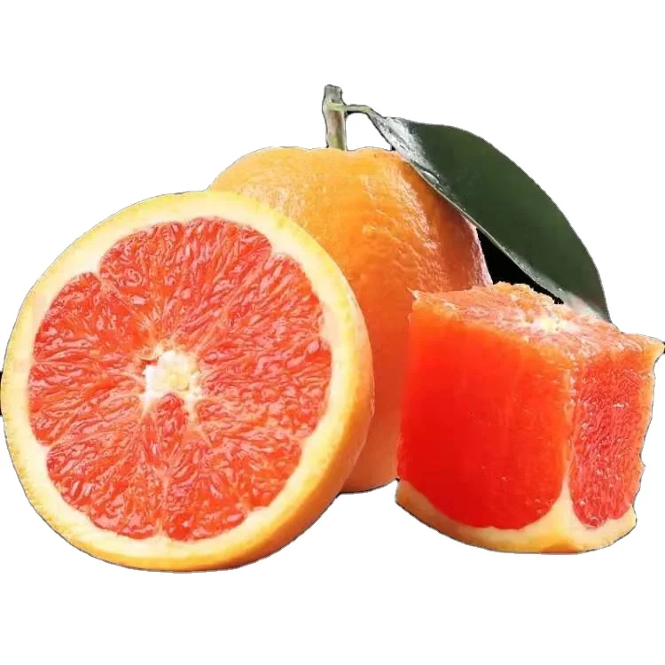 
Hot Sale Best Quality Navel Fresh Oranges Orange From China 