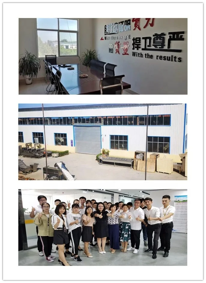 our company and team