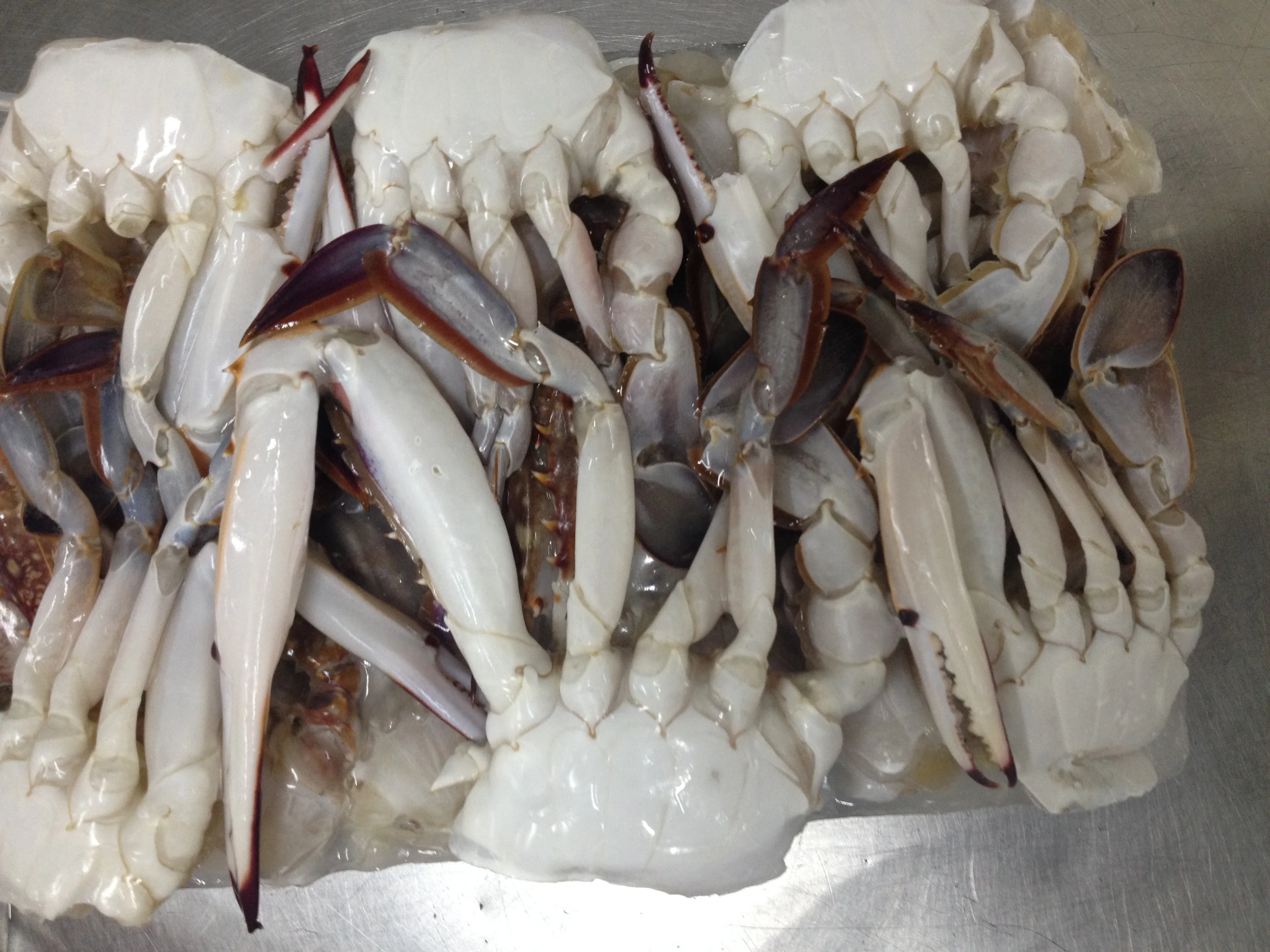 冷冻螃蟹蝴蝶切割好销售