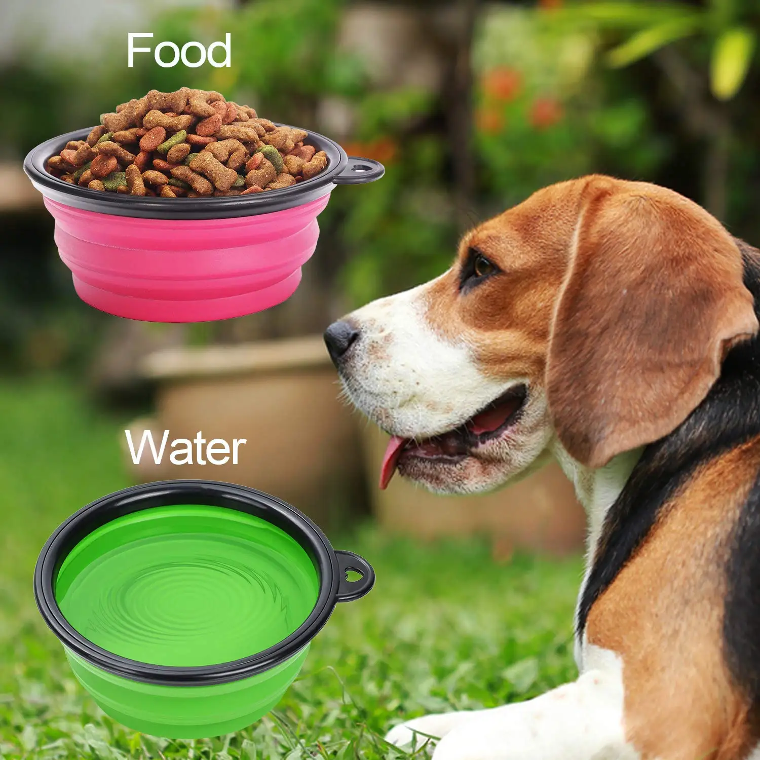 pet Silicone Bowl.jpg