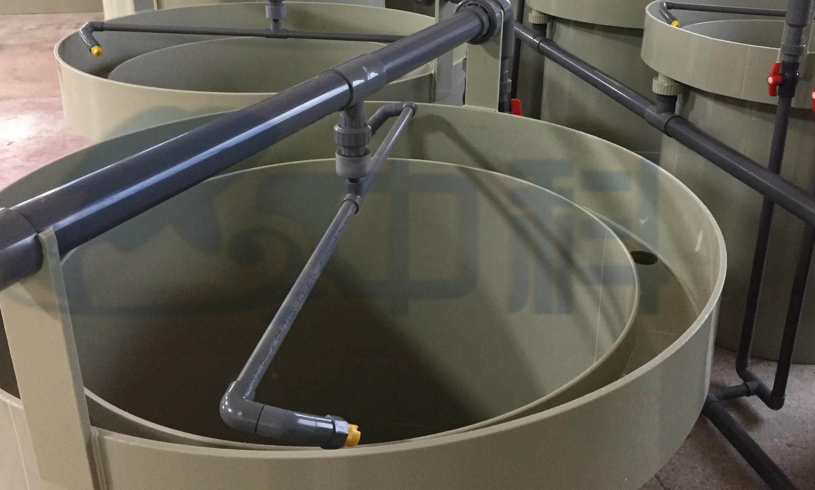 Catfish Egg Incubation Jar Fish Egg Incubator Buy Fish Egg Incubator