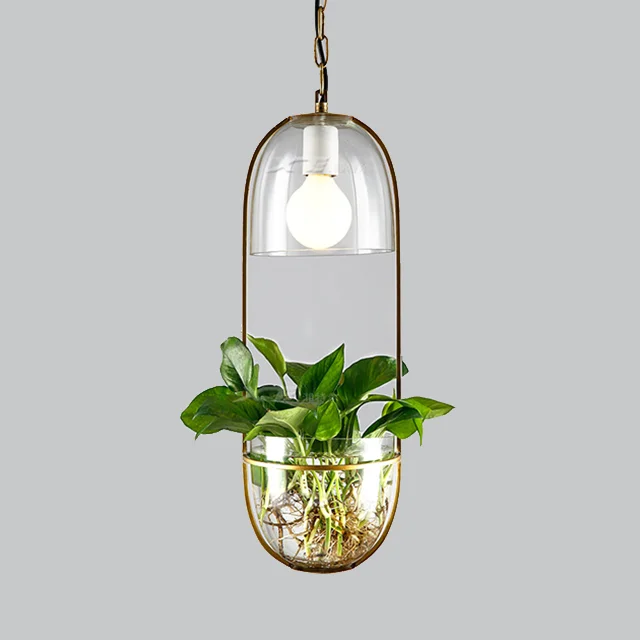 Water Planting Hanging Hydroponic Pendant Lamp Chandelier Light